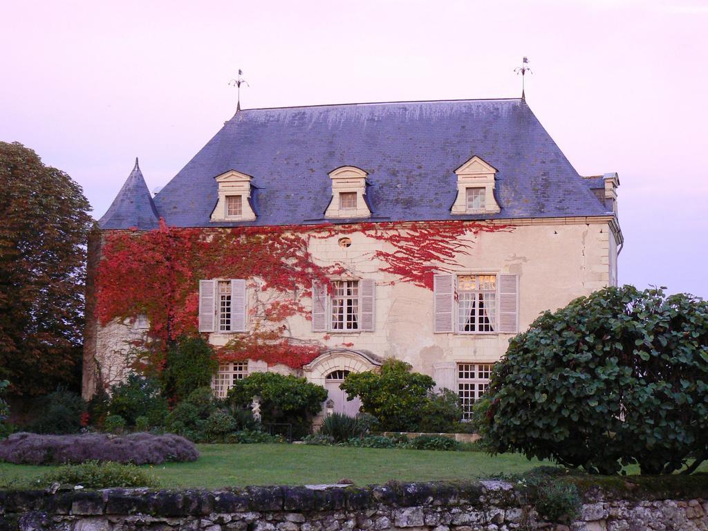 Gite Chateau De Chaintres Dampierre-sur-Loire Habitación foto