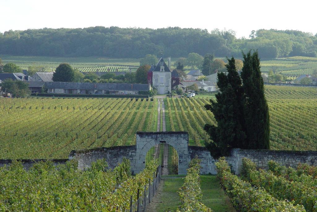 Gite Chateau De Chaintres Dampierre-sur-Loire Habitación foto