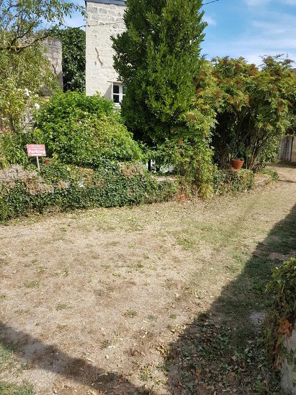 Gite Chateau De Chaintres Dampierre-sur-Loire Exterior foto